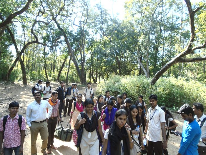Study Tour